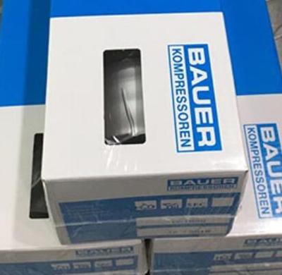 BAUER宝华滤芯060036油水过滤芯 活性炭滤芯