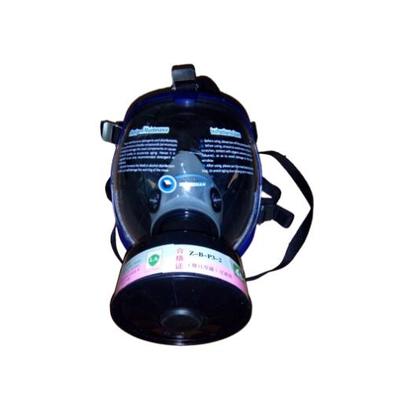FZFD自吸过滤式防毒面具罩 防毒全面具