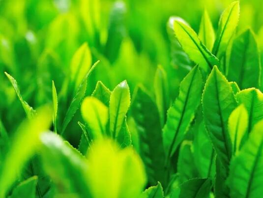 QQ截图20230404161023