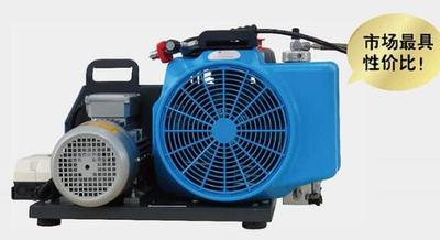 MSA 10181241 高压空气压缩机(100-TE,400V..