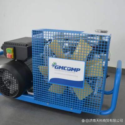 GMCOMP盖玛特GMC100/EM单相电220V空气充气泵